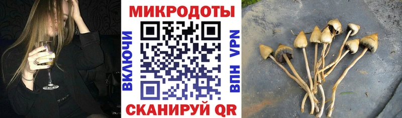 Галлюциногенные грибы Magic Shrooms Дыгулыбгей