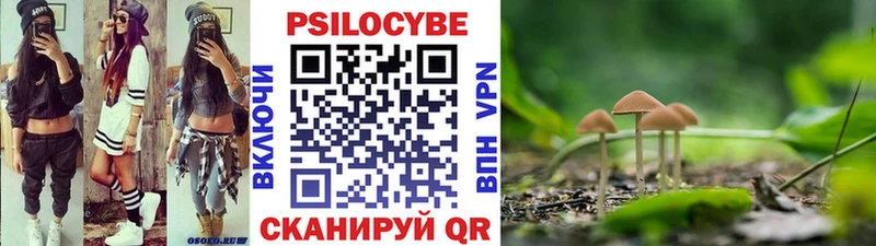 Галлюциногенные грибы Cubensis Дыгулыбгей